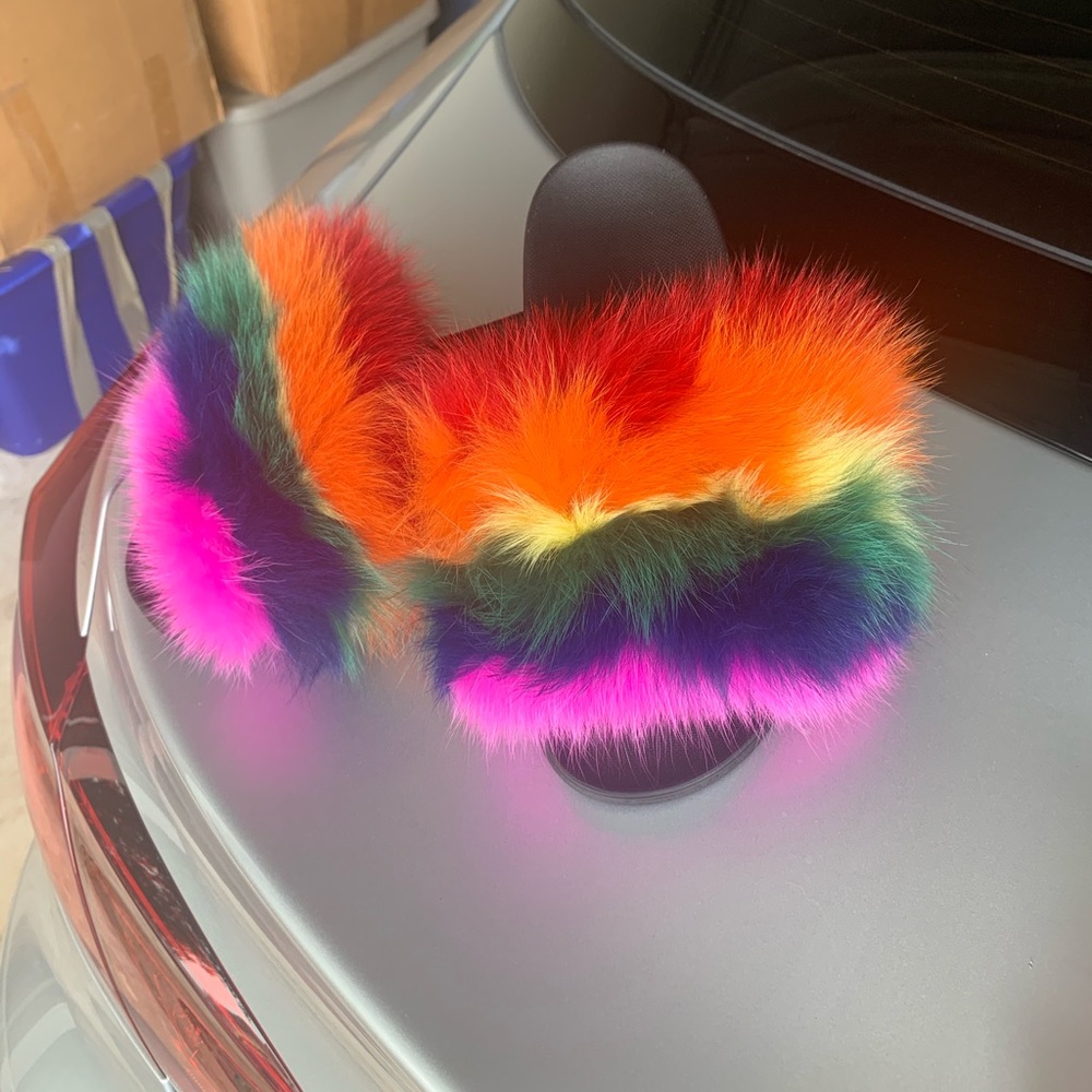 Fur slides - Picture 2 of 4